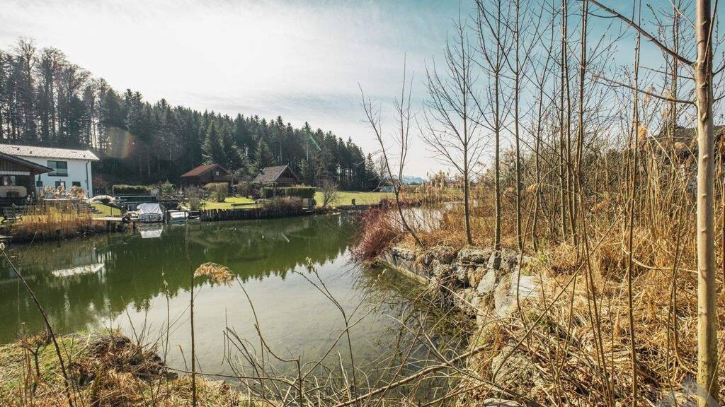 Grundstück zum Kauf 670.000 € 535 m² Grundstück Seekirchen am Wallersee 5201