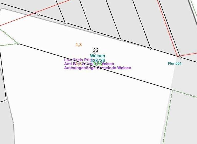 Land-/Forstwirtschaft zum Kauf 29.500 € 1.945 m² Grundstück Weisen 19322