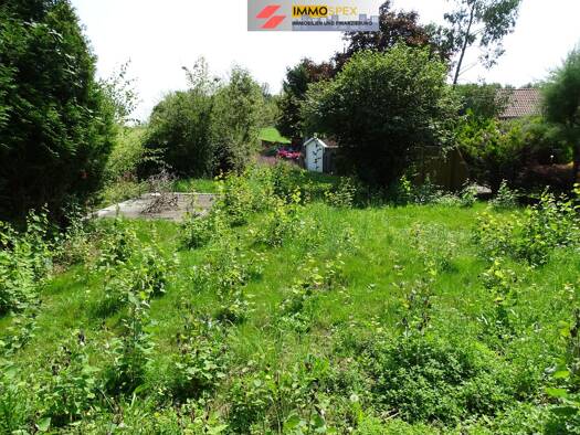 Haus zum Kauf 589.000 € 9 Zimmer 298 m² 908 m² Grundstück Rippolingen Bad Säckingen 79713