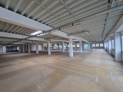 Halle/Industriefläche zur Miete provisionsfrei 18.126 m² Lagerfläche teilbar ab 5.162 m² Atter Osnabrück 49076