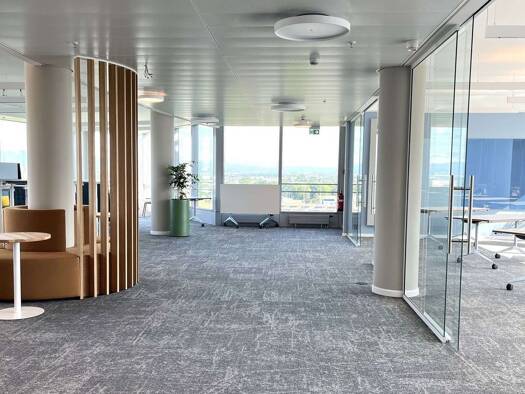 Bürofläche zur Miete provisionsfrei 16 € 3.783 m² Bürofläche teilbar ab 276 m² Schwanheim West 60528