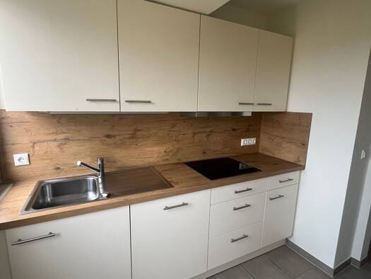 Wohnung zur Miete 750 € 2 Zimmer 54 m² Geschoss 2/3 frei ab 01.02.2027 Miesenheim Andernach 56626