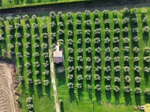 Land-/Forstwirtschaft zum Kauf - Erstbezug 750.000 € 3.300 m² Grundstück Via Seselle Manerba del Garda