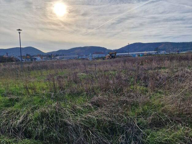 Haus zum Kauf provisionsfrei 342.000 € 129 m² 571 m² Grundstück Saalfeld Saalfeld/Saale 07318