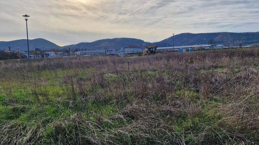 Haus zum Kauf provisionsfrei 342.000 € 129 m² 571 m² Grundstück Saalfeld Saalfeld/Saale 07318