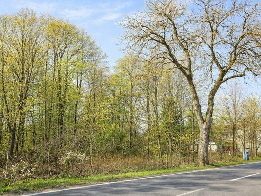 Grundstück zum Kauf 295.000 € 1.260 m² Grundstück Mühlenbeck Mühlenbecker Land 16567