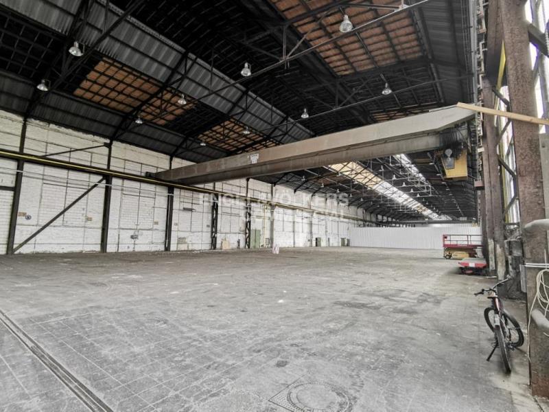 Halle/Industriefläche zur Miete 16.947 m²<br/>Lagerfläche ab 645 m²<br/>Teilbarkeit Oberricklingen Hannover 30453