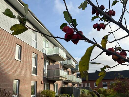 Wohnung zur Miete 575 € 2 Zimmer 56,7 m² frei ab 01.12.2026 Nordstadt Nordstadt 24939