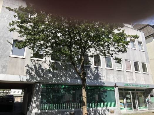 Wohnung zur Miete 295 € 2 Zimmer 34 m² 3. Geschoss Steinweg Arnsberg 59821