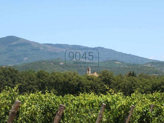 Bauernhaus zum Kauf 45 Zimmer 5.000 m² 3.000.000 m² Grundstück Capolona 52010