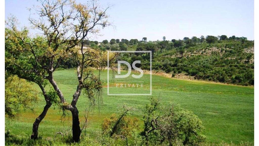 Grundstück zum Kauf 14.300.000 € 58.328 m² Grundstück Carregueiros 2305