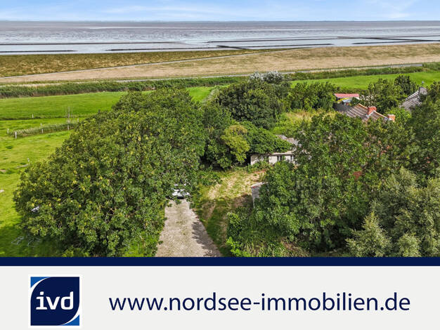 Einfamilienhaus zum Kauf 169.000 € 4 Zimmer 100 m² 3.025 m² Grundstück Westermarsch II Norden 26506