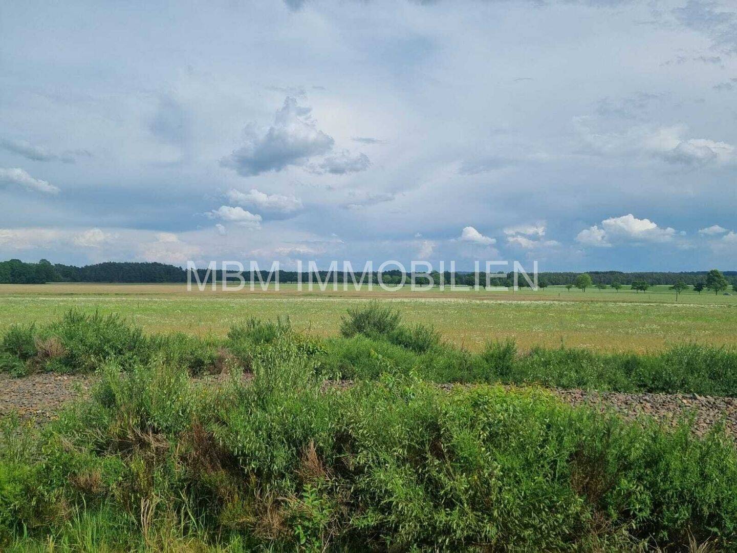 Immobilie in Königsbrück - Traumhaftes Grundstück mit Einfamilienhaus in idyllischer Lage - Bild 4