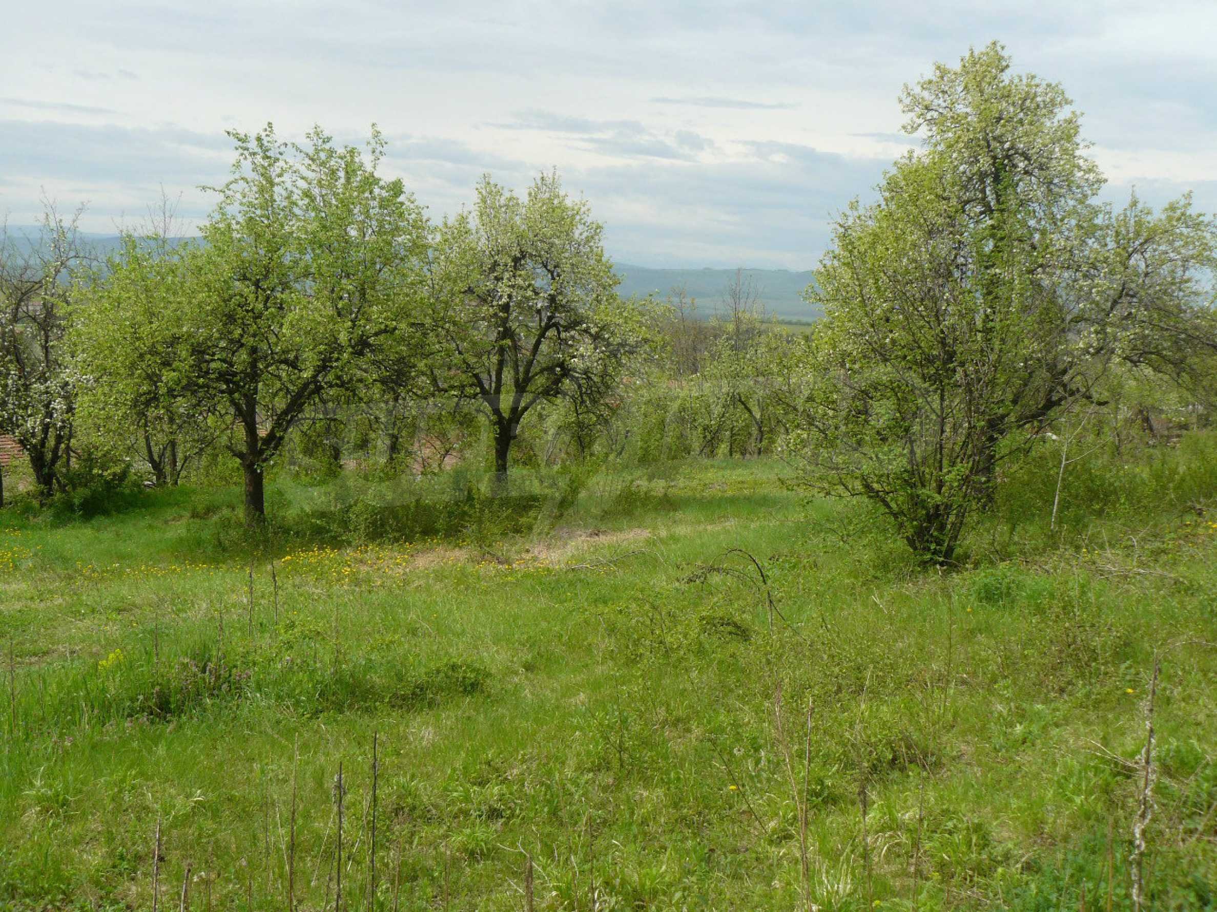 Grundstück zum Kauf 180.000 € Veliko Tarnovo