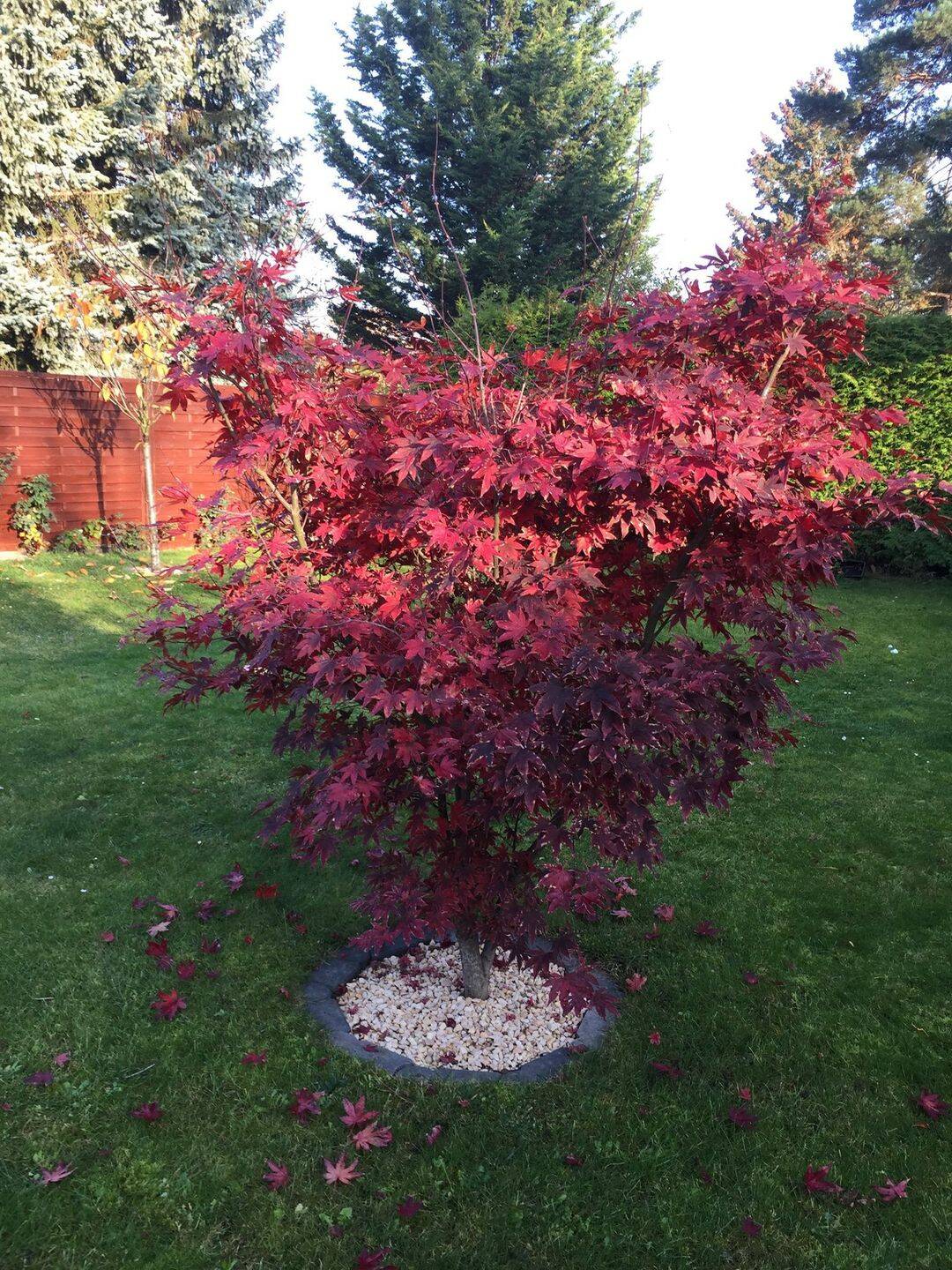 Property thumbnail 28