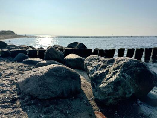 Wohnung zur Miete 480 € 2 Zimmer 67,1 m² Dranske 18556