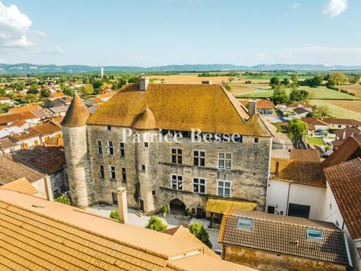 Schloss zum Kauf 3.999.000 € 20 Zimmer 1.500 m² 3.099 m² Grundstück Presqu'île - Centre ville - Cordeliers Lyon 69001