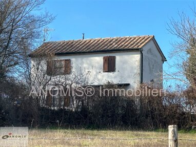 Haus zum Kauf 210.000 € 4 Zimmer 120 m² 10.000 m² Grundstück Boccheggiano Casa indipente 1 Hektar pane Montieri 58026