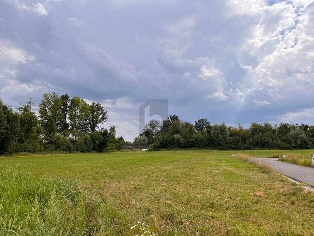 Grundstück zum Kauf 70.650 € 1.413 m² Grundstück Taufkirchen an der Pram 4775