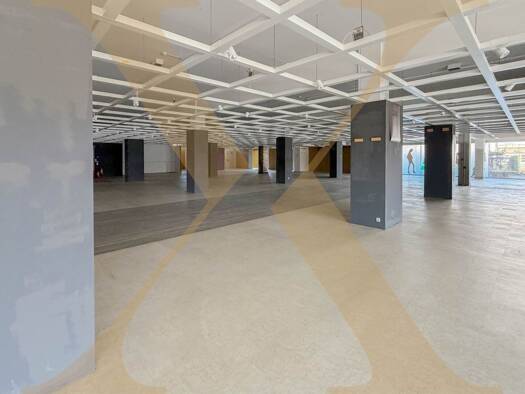 Halle/Industriefläche zur Miete 6.924 € 1.154,1 m² Lagerfläche Wels Wels 4600