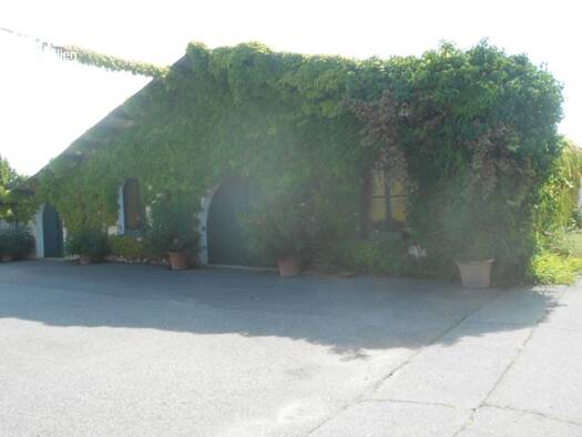 Halle/Industriefläche zum Kauf provisionsfrei 2.620.000 € Gols 7122