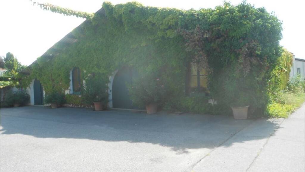 Halle/Industriefläche zum Kauf provisionsfrei 2.620.000 € Gols 7122