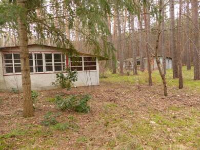 Land-/Forstwirtschaft zum Kauf 5.000 € 1.379 m² Grundstück Fuchsweg 2 Borkwalde 14822