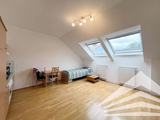 Studio zur Miete 443 € 1 Zimmer 35,3 m² frei ab 01.04.2026 Rudolfstraße 53 - 55 Urfahr Linz 4040