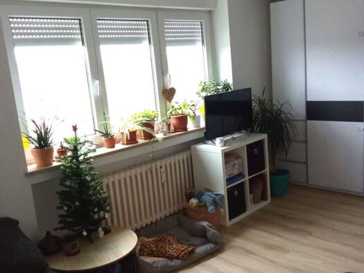 Wohnung zur Miete 349 € 1 Zimmer 29,2 m² 5. Geschoss frei ab sofort Thüringer Straße 2a Coburg 96450