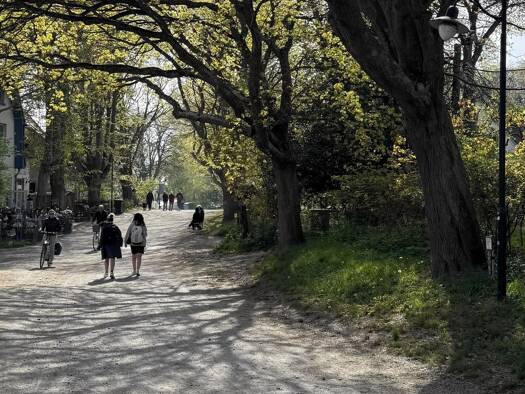 Grundstück zum Kauf 550.000 € 750 m² Grundstück Kloster, Hiddensee Insel Hiddensee 18565