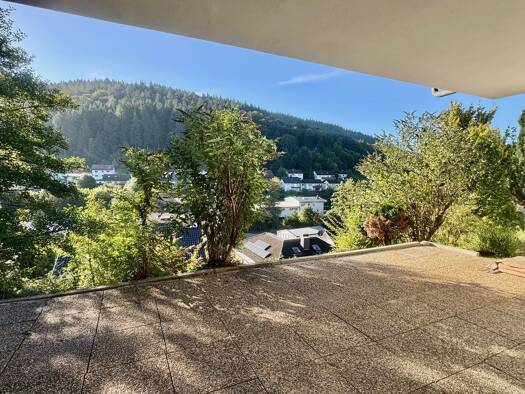 Terrassenwohnung zur Miete 650 € 2 Zimmer 65 m² Heiligkreuzsteinach 69253