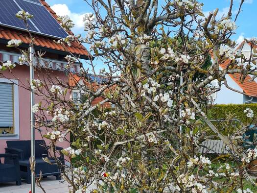 Einfamilienhaus zur Miete 1.300 € 5 Zimmer 130 m² 600 m² Grundstück frei ab 01.08.2026 Feuchtwangen 91555