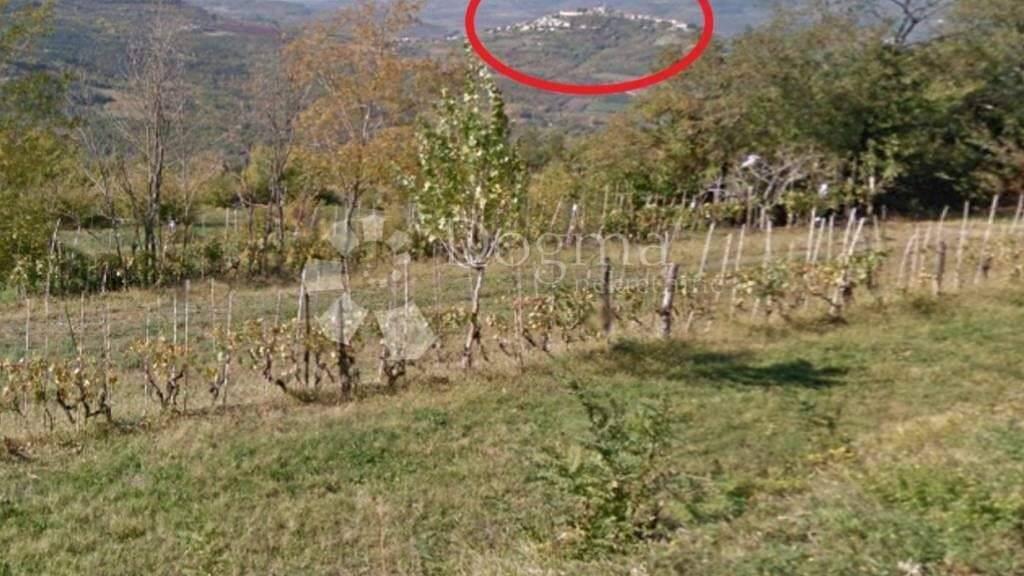 Land-/Forstwirtschaft zum Kauf 222.000 € Pazin