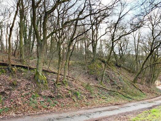 Grundstück zum Kauf provisionsfrei 11.000 € 2.666 m² Grundstück Tiefenthal 55546