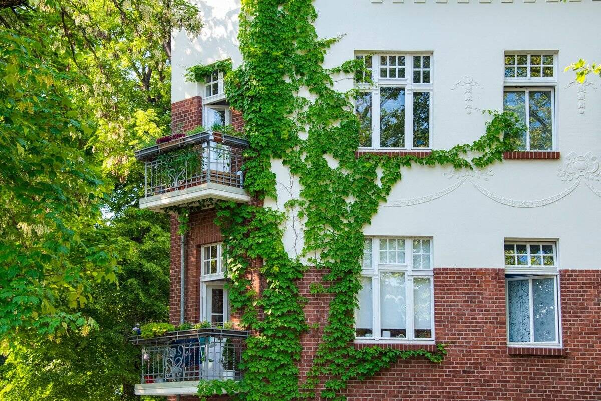 Property thumbnail 3