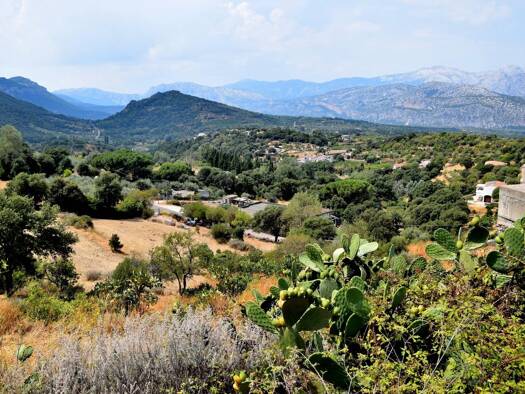 Grundstück zum Kauf 229.000 € 2.100 m² Grundstück Dorgali (Provinz Nuoro) 08022