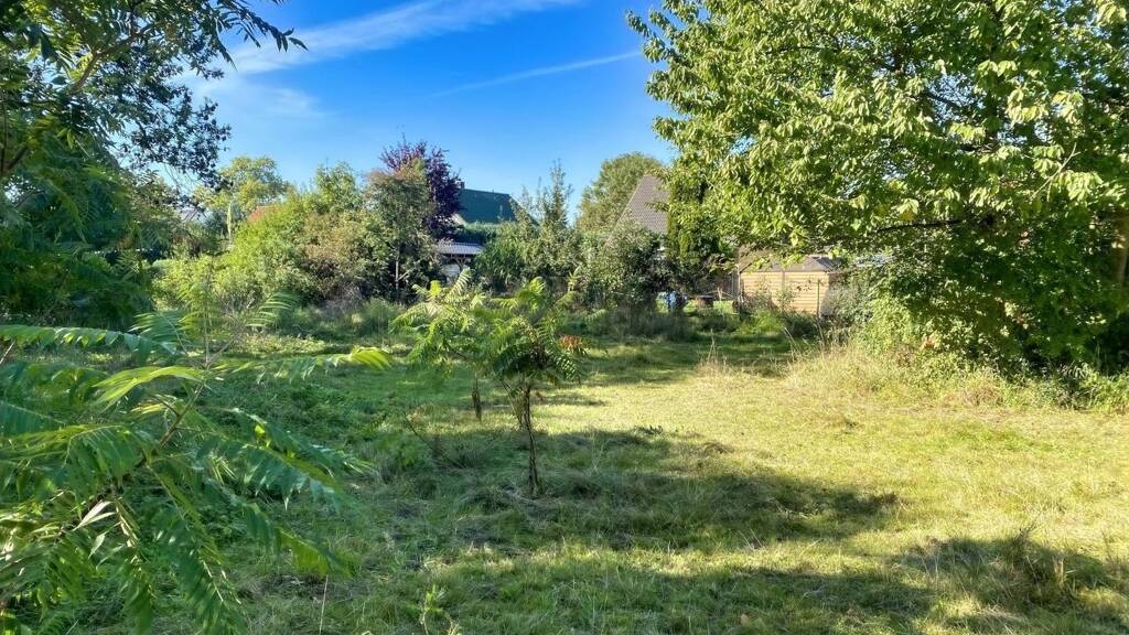 Freizeitgrundstück zum Kauf 45.000 € 1.039 m² Grundstück Brunow Heckelberg-Brunow 16259