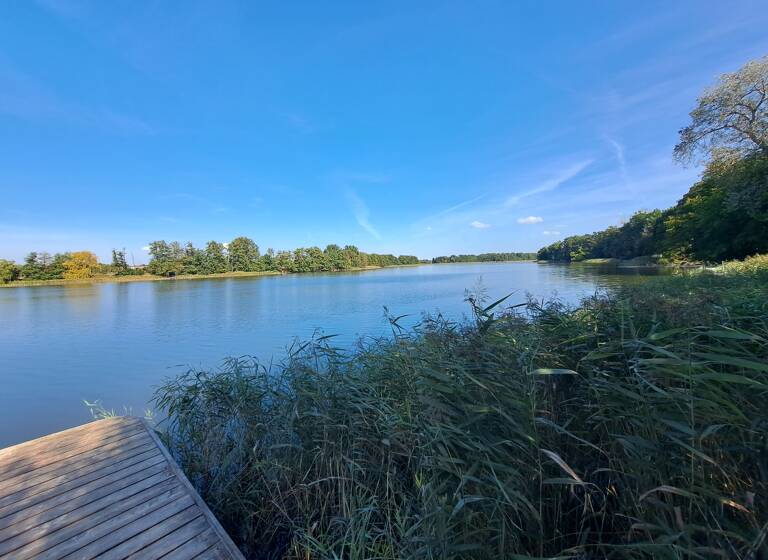 Grundstück zum Kauf 234.000 € 2.022 m²<br/>Grundstück Kagel Grünheide 15537