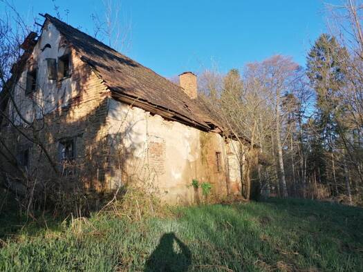 Haus zum Kauf 150.000 € 100 m² 7.000 m² Grundstück Sankt Nikolai im Sausal 8505