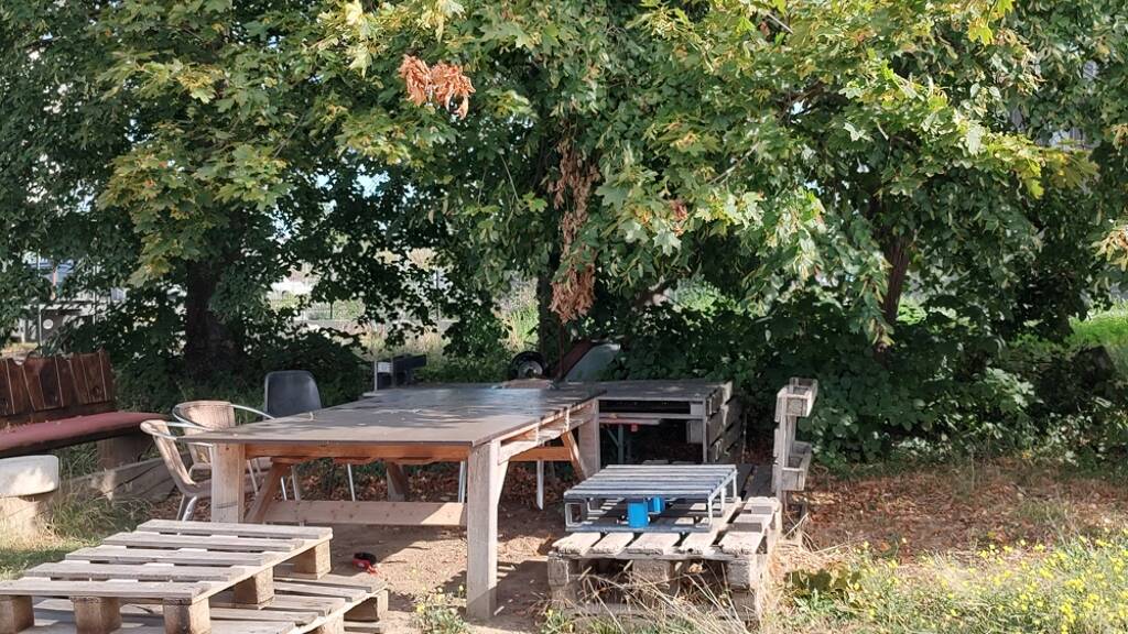 Gewerbegrundstück zur Miete Breisach Breisach am Rhein 79206