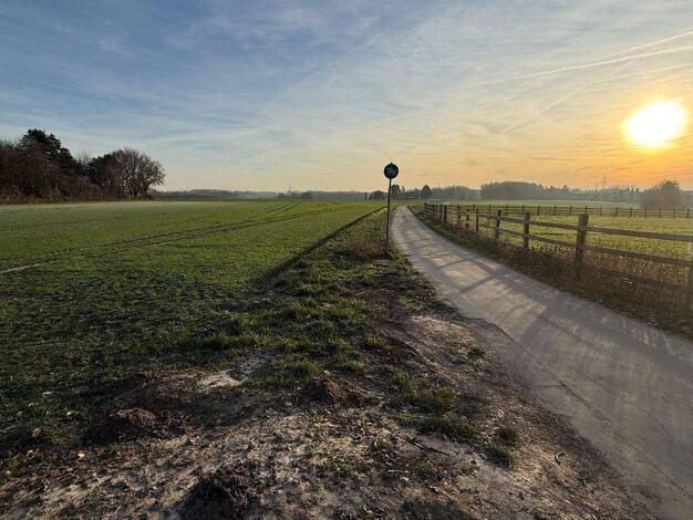 Reihenendhaus zum Kauf 430.000 € 4 Zimmer 120 m² 384 m² Grundstück Gerthe Bochum 44805