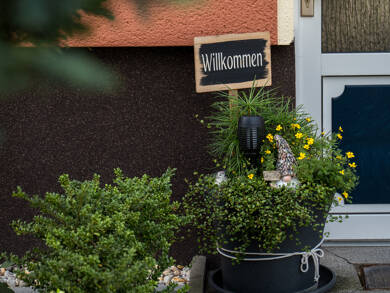 Wohnung zur Miete 501 € 3 Zimmer 68,6 m² 2. Geschoss Bitterfelder Straße 46 Wolfen Bitterfeld-Wolfen 06766
