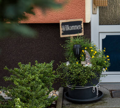 Wohnung zur Miete 501 € 3 Zimmer 68,6 m² 2. Geschoss Bitterfelder Straße 41,42 und 46 Reuden a d Fuhne Bitterfeld-Wolfen 06766
