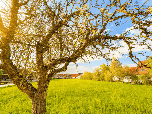 Grundstück zum Kauf 650.000 € 4.000 m² Grundstück Großweingarten Spalt 91174