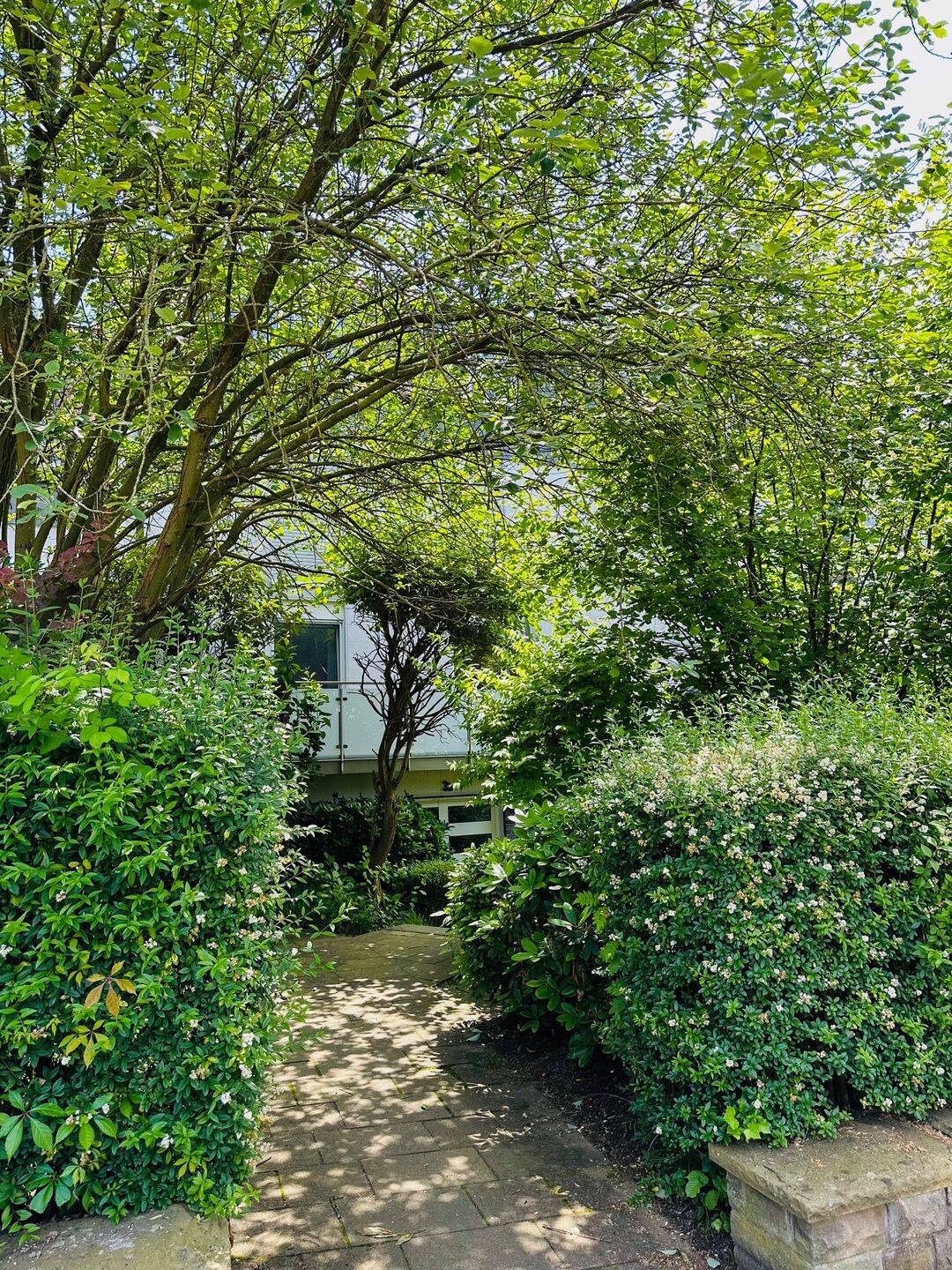 Property thumbnail 13