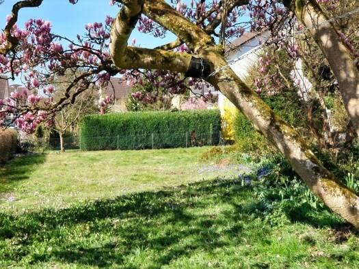 Einfamilienhaus zum Kauf 530.000 € 5 Zimmer 122 m² 790 m² Grundstück Gottmadingen 78244