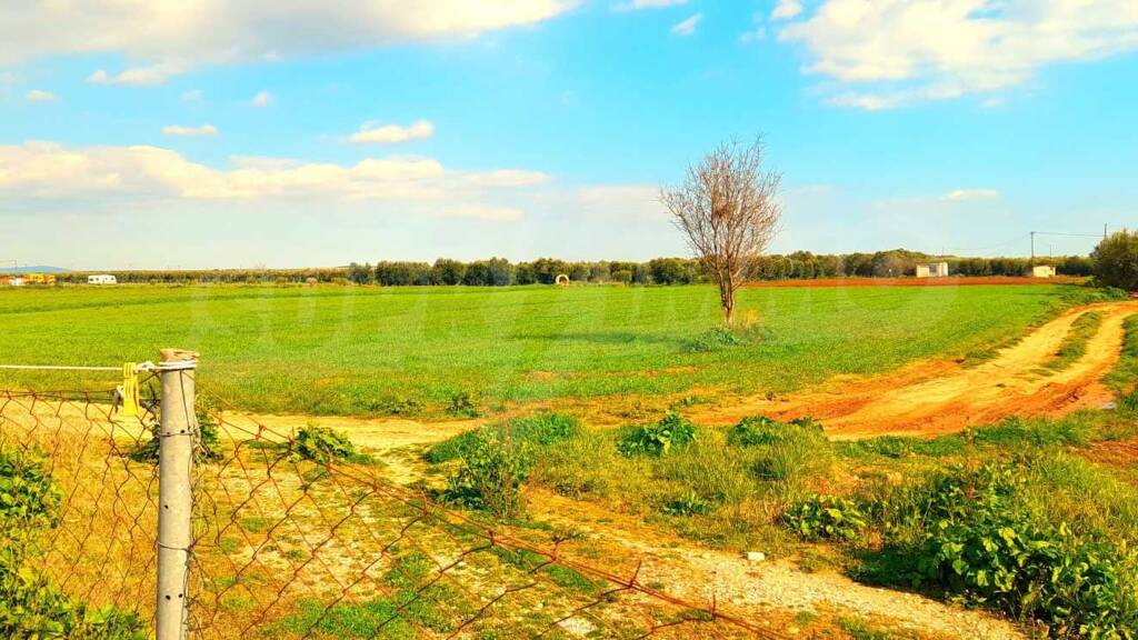 Landwirtschaftliche Fläche zum Kauf 55.000 € Paralia Neas Triglias