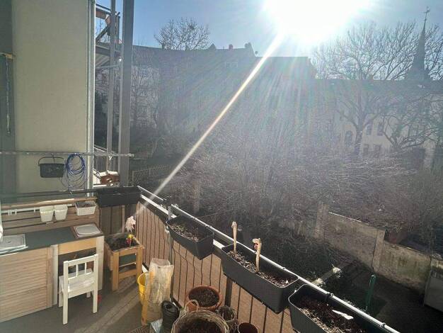 Wohnung zum Kauf provisionsfrei 169.000 € 2 Zimmer 54 m² 1. Geschoss Plauen Dresden 01187