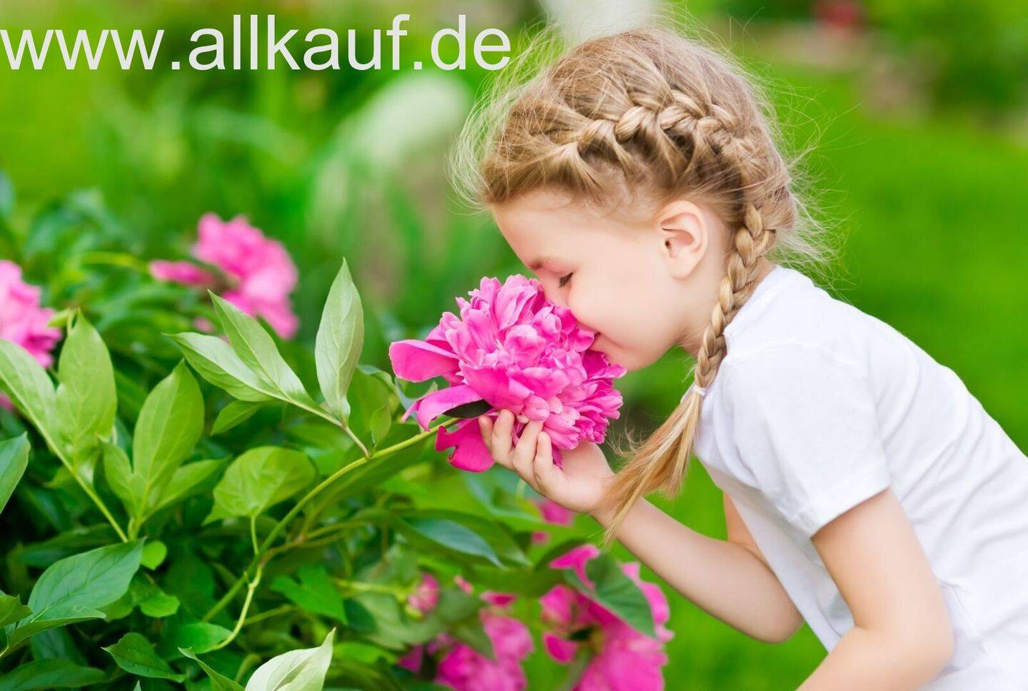 Doppelhaushälfte zum Kauf - Mehr