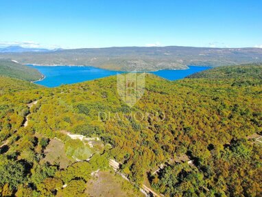 Land-/Forstwirtschaft zum Kauf 91.000 € Rakalj 52206